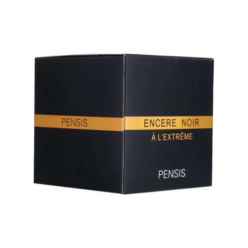 ادوپرفیوم مردانه پنسیس مدل Encere Noir Extreme حجم100میل